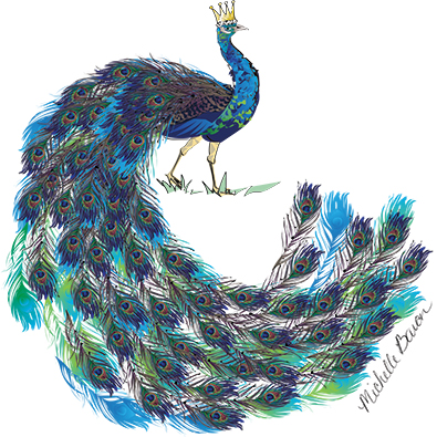Illustrated Peacock wearing a crown